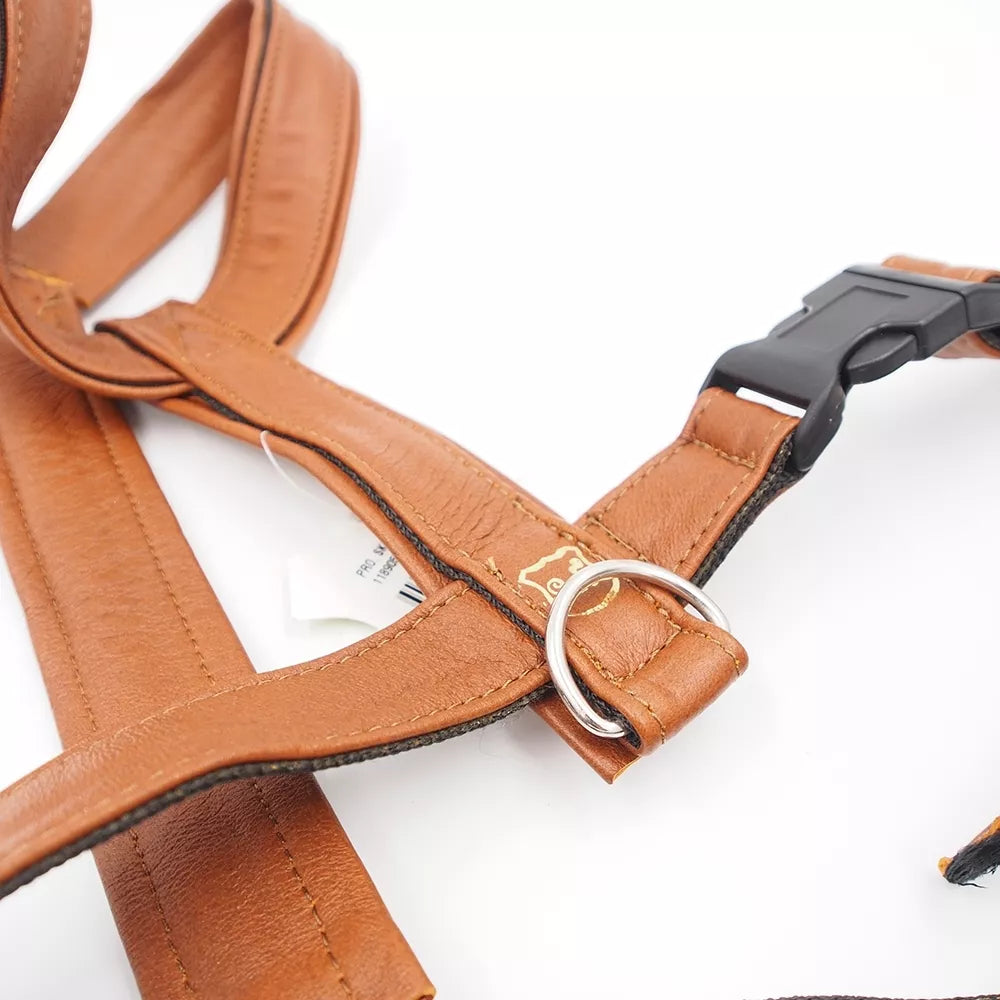 50/90CM. petnešos šunims „Gustaf & Evita“ GE118905