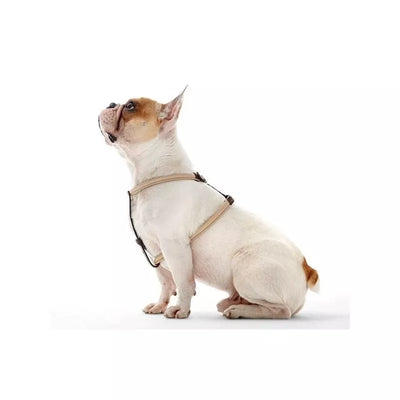 60CM. Petnešos šunims Hunter H62147