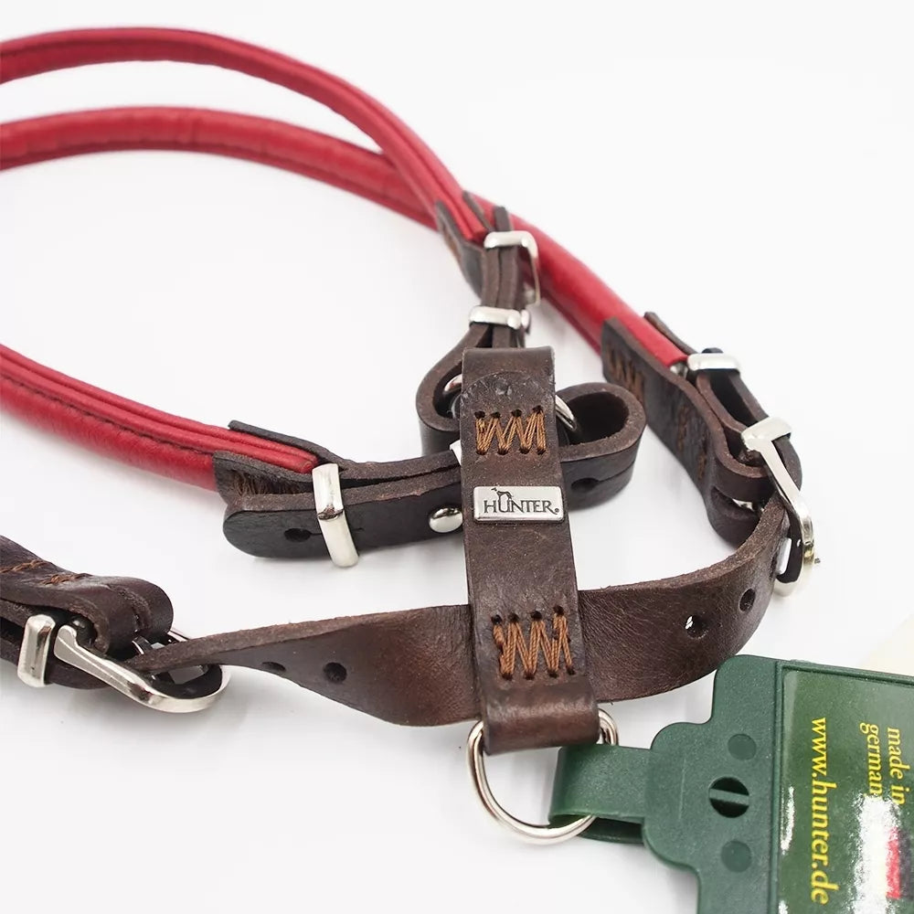 70 CM. petnešos šunims Hunter