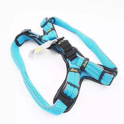 75-85 CM. Petnešos šunims Hunter