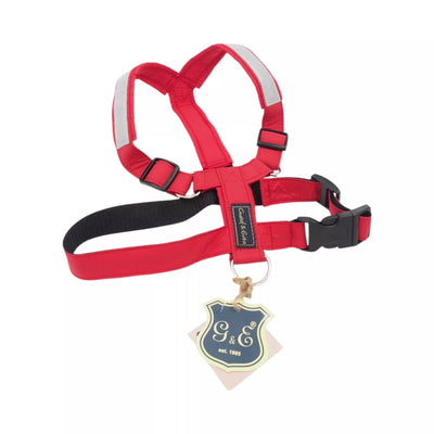 Atšvaitinės šunų petnešos „Gustaf & Evita“ – 35/55 cm