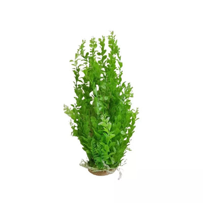 Augalas dirbtinis 52 cm