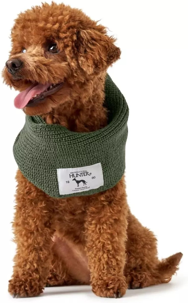 Augintinio šalikas Hunter Žalias