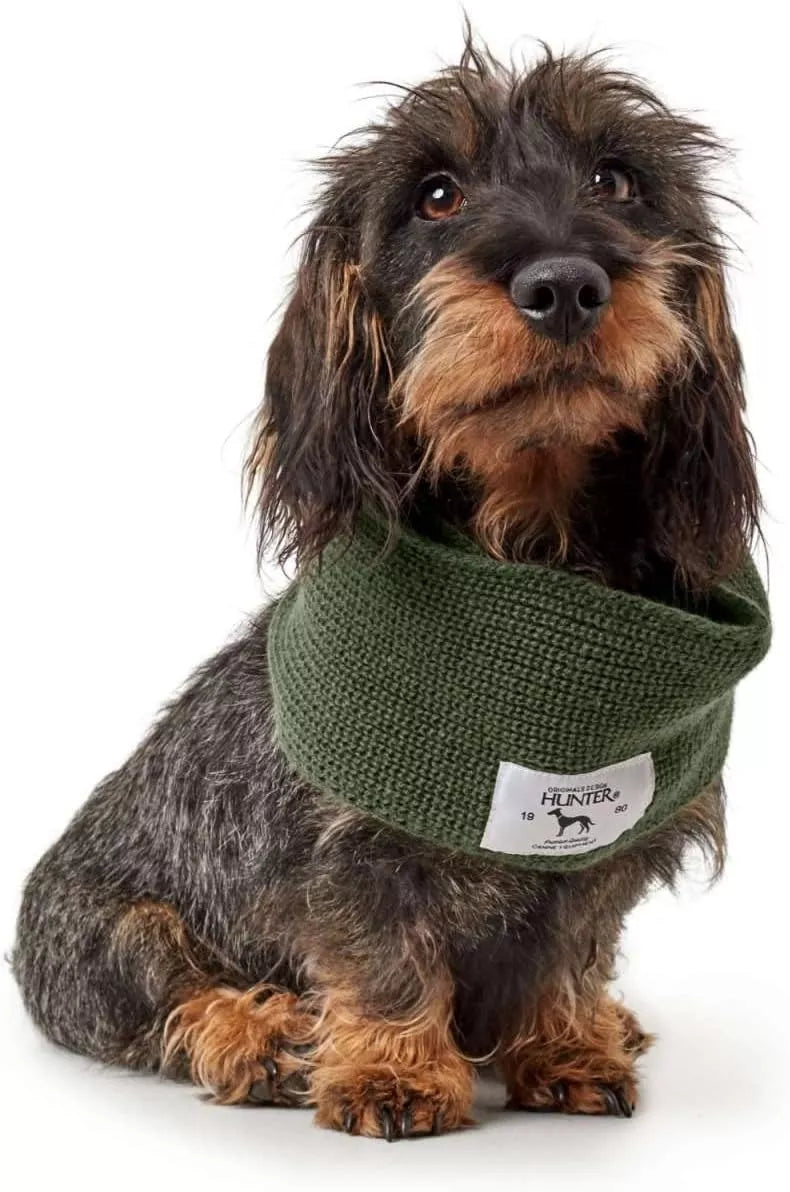 Augintinio šalikas Hunter Žalias