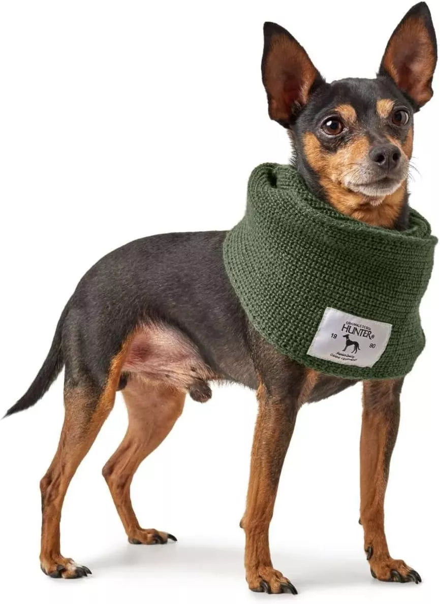 Augintinio šalikas Hunter Žalias