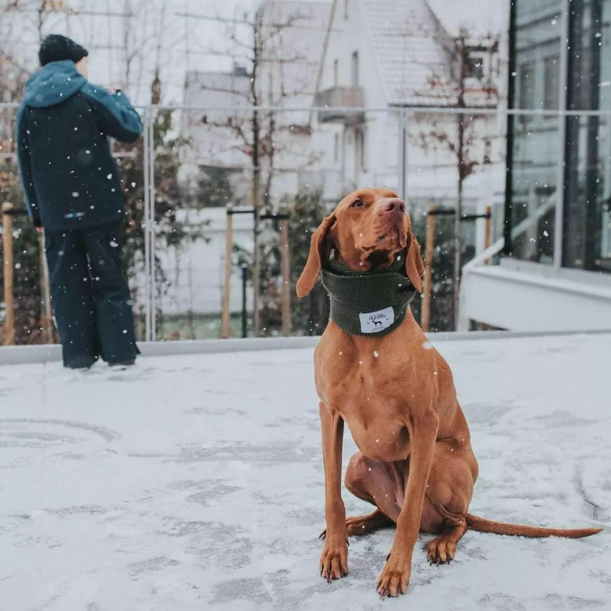 Augintinio šalikas Hunter Žalias