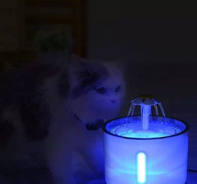 Automatinė girdykla naminiams gyvūnėliams