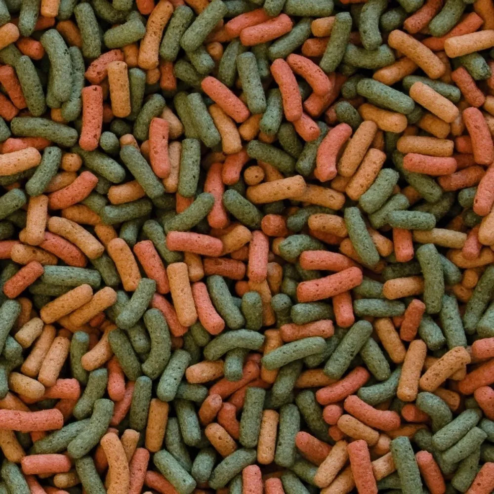 Tropical Biorept W pašaras vandens vėžliams 1000 ml