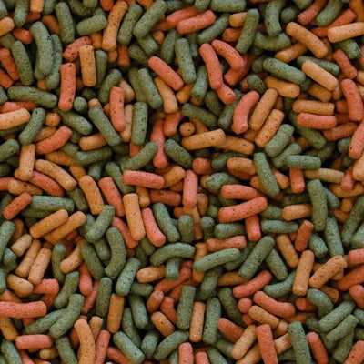 Tropical Biorept W pašaras vandens vėžliams 100 ml