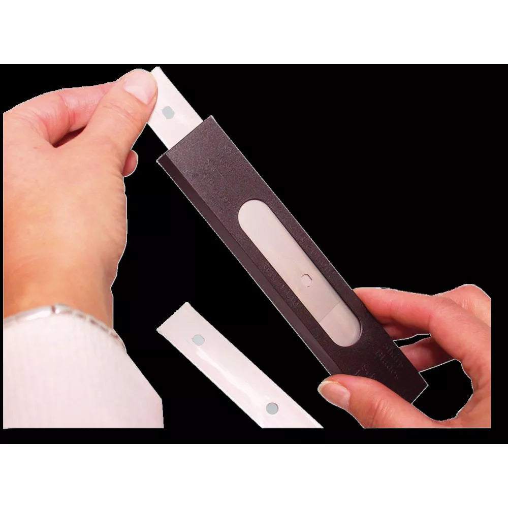 JBL Blades for Aqua-T Triumph peiliukai stiklų gramdikliui