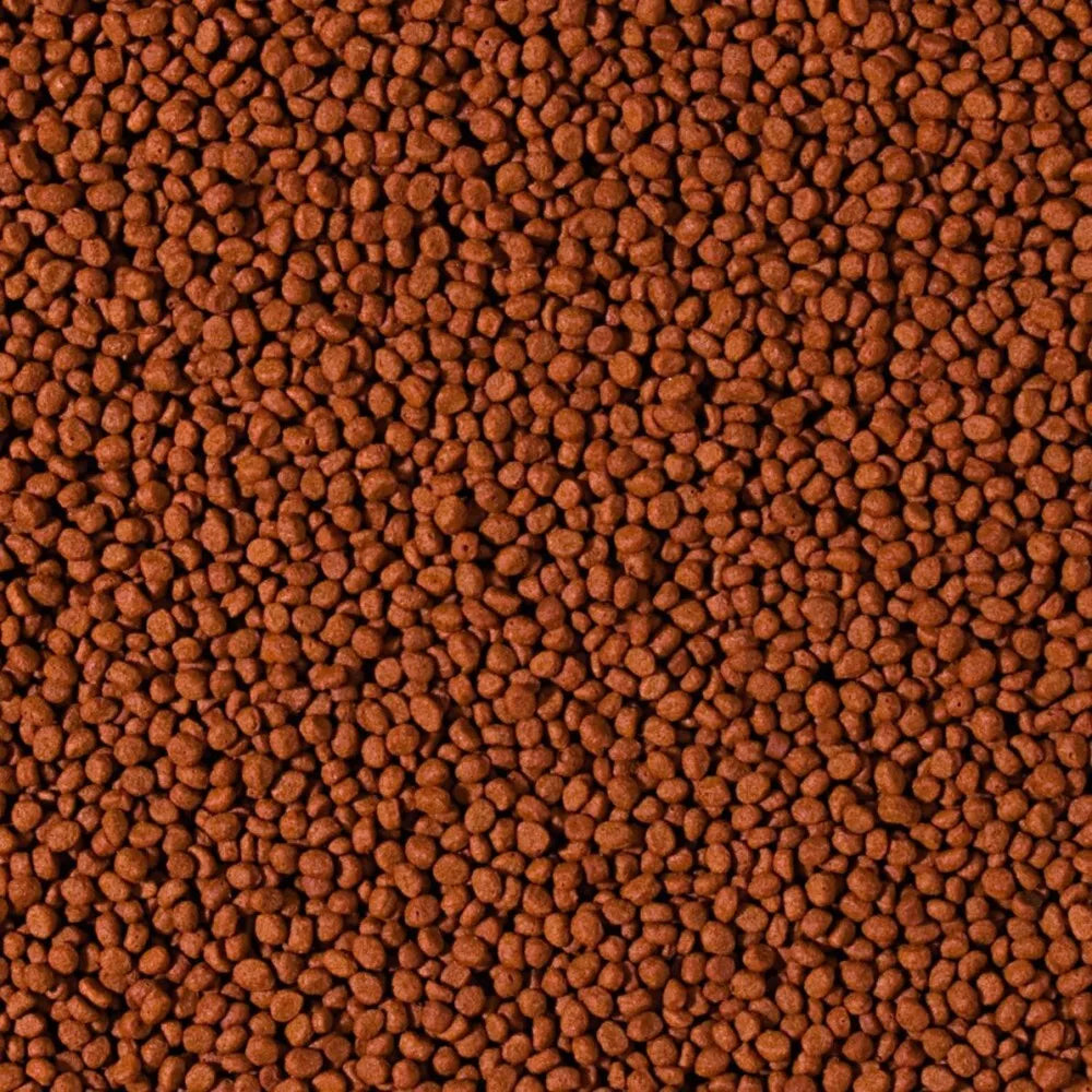 Tropical Cichlid Carnivore Small Pellet granuliuotas maistas mėsėdžiams ciklidams 250 ml