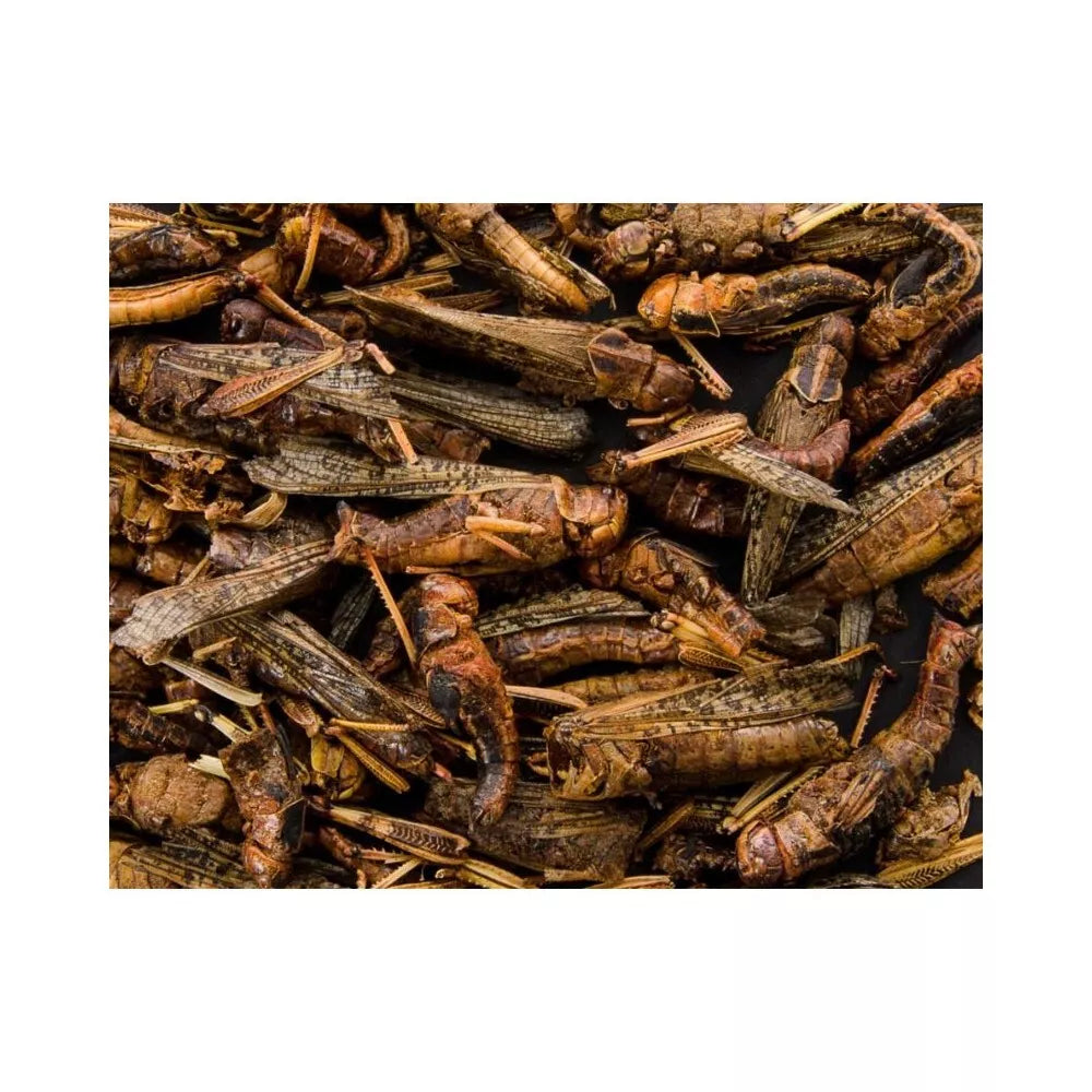 Džiovinti žiogai, 80 g