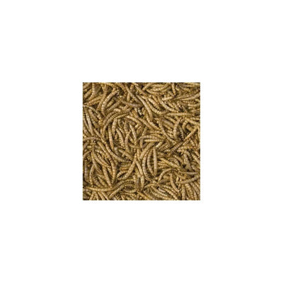 Tropical Mealorms džiovintos milčių lervos, 100 ml