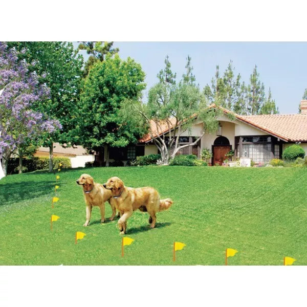 Elektroninė augintinio tvora