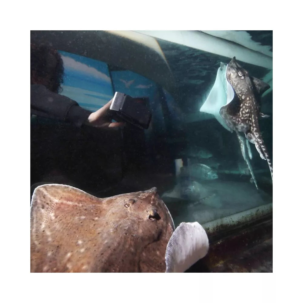 Floaty Blade XL plaukiantis magnetinis stiklų valiklis su ašmenimis, 25 mm