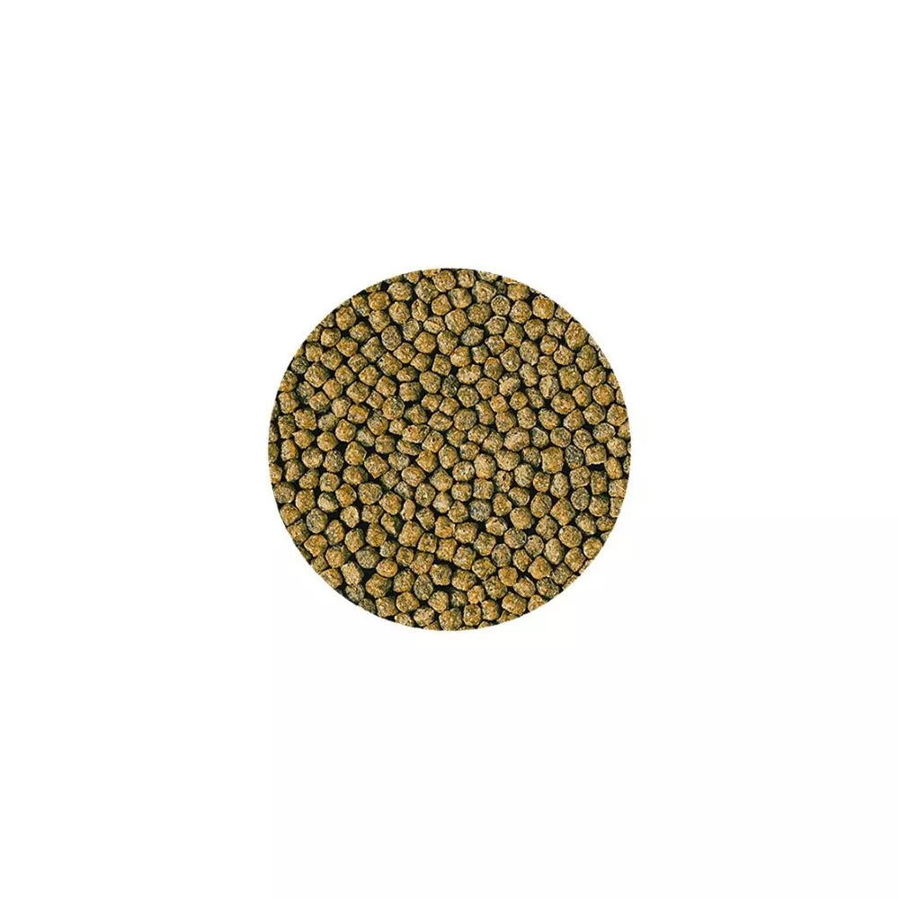 Hikari Goldfish Staple Baby visavertis pašaras žuvims 100 g