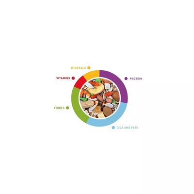 Lesalas didžiosioms papūgoms (amazonėms, žako, kakadu, aroms) Grandmix Pappagalli 2x600 g