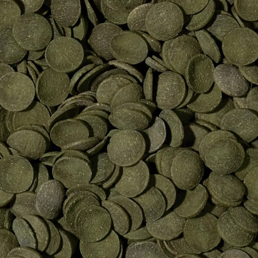 Tropical Green Algae Wafers pašaras dugninėms žuvims 250 ml + 10%