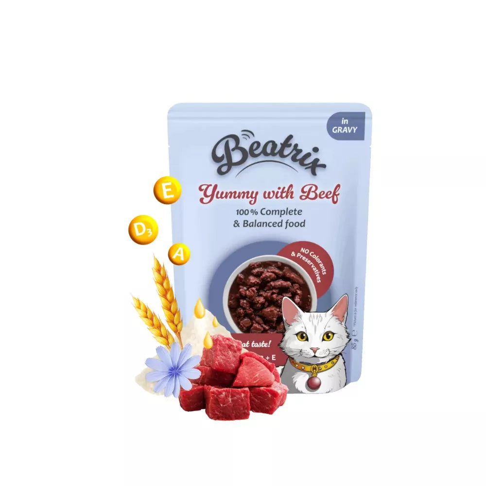 Guliašas suaugusioms katėms Beatrix su jautiena, 85 g