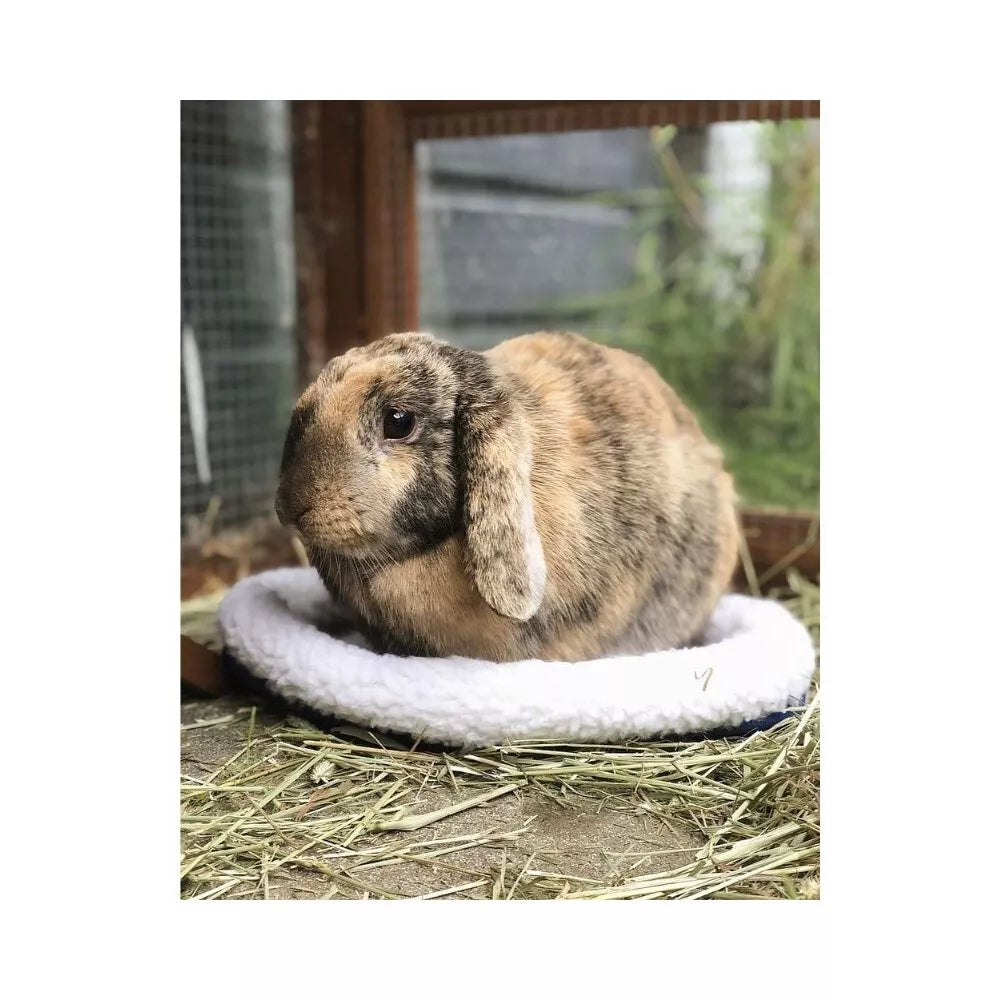 Guolis graužikams, 30x26 cm