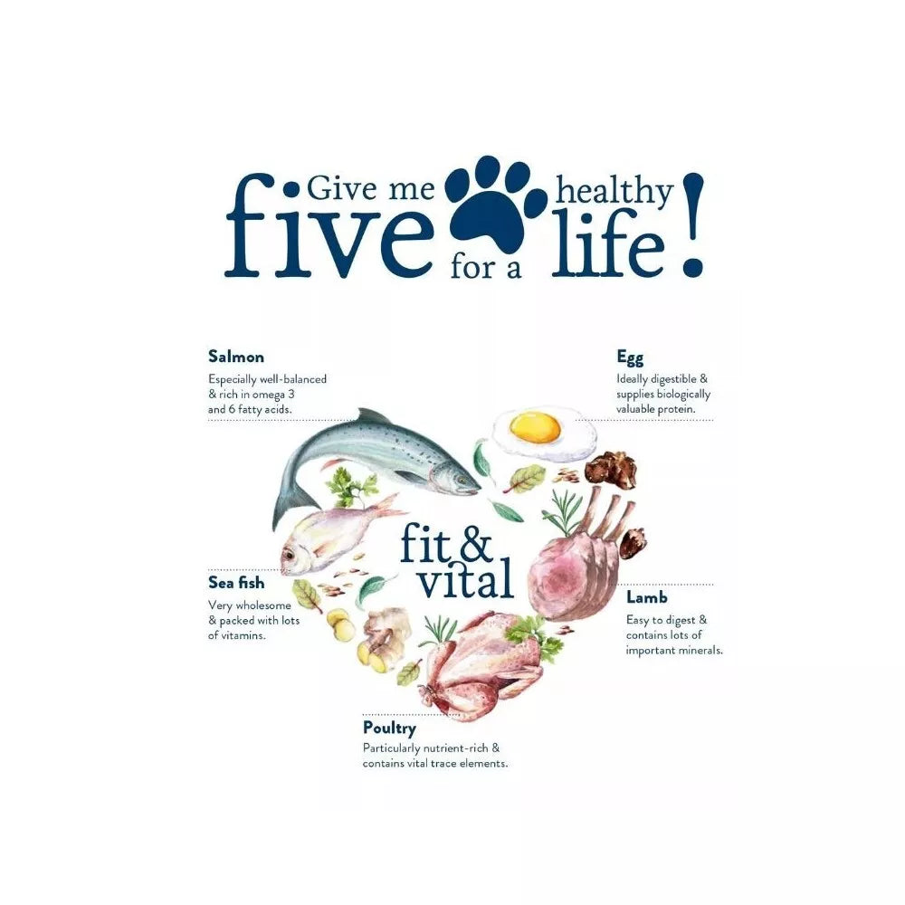 Happy Dog Mini Adult visavertis pašaras mažų veislių suaugusiems šunims, 4 kg