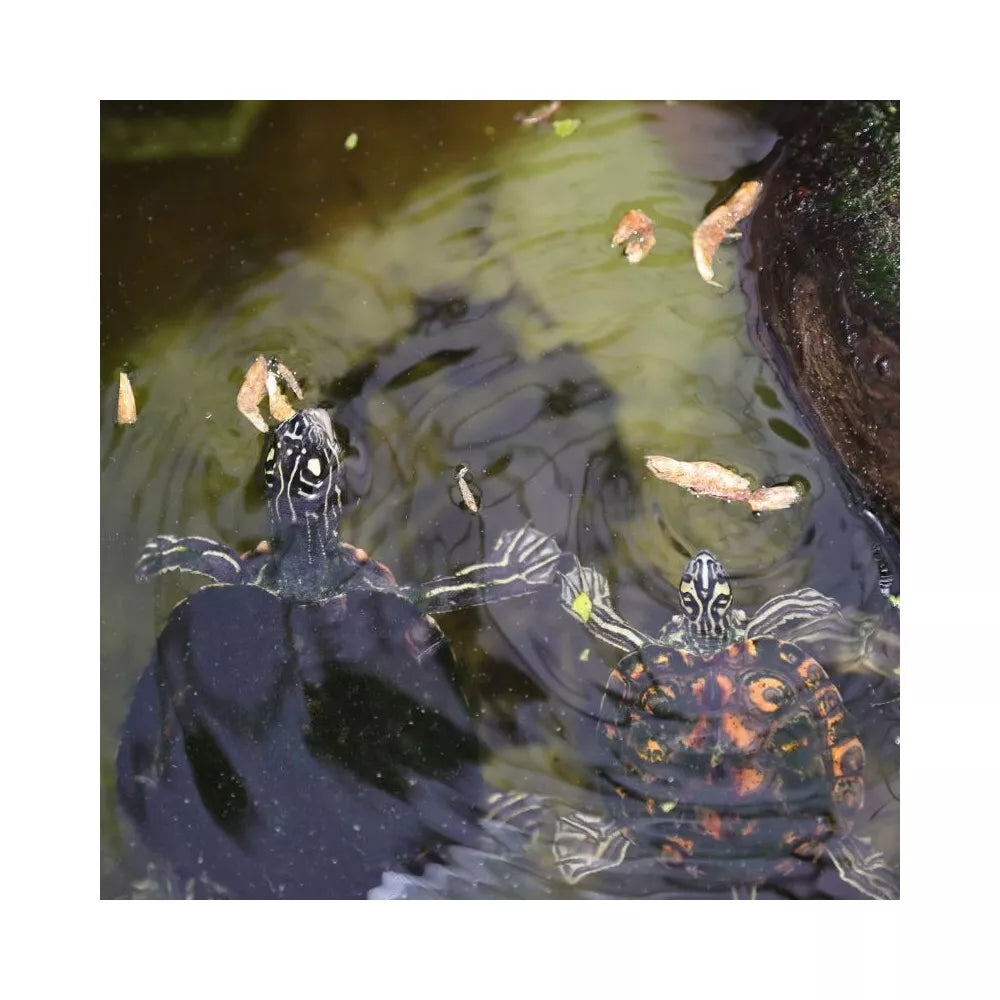 JBL ProTerra pašaras vėžliams Crustarus, 250 ml