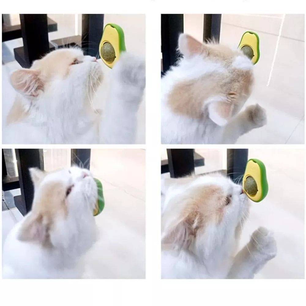 Katžolės rutuliukas katėms