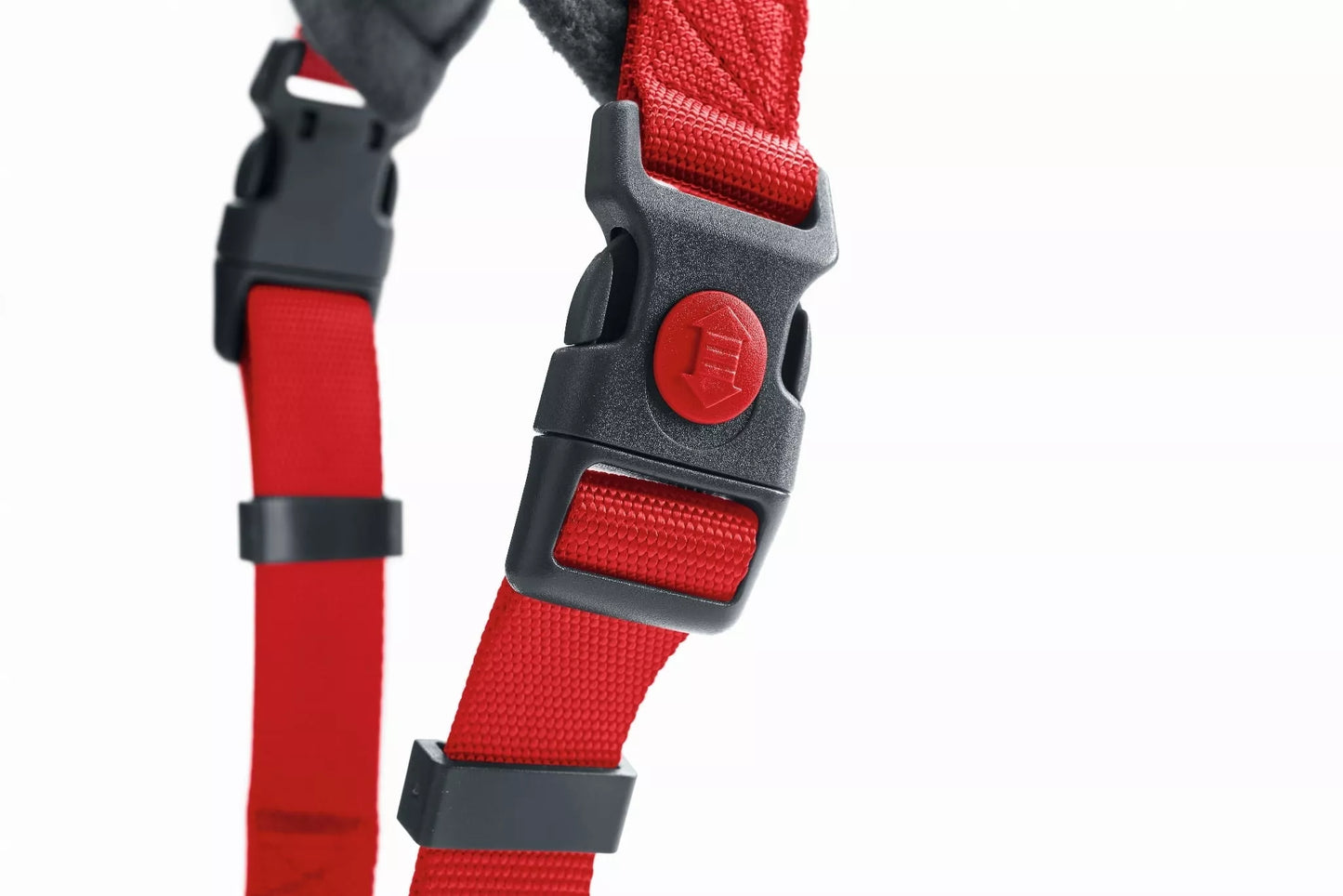 L Penešos Hunter 68114