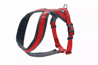 L Penešos Hunter 68115