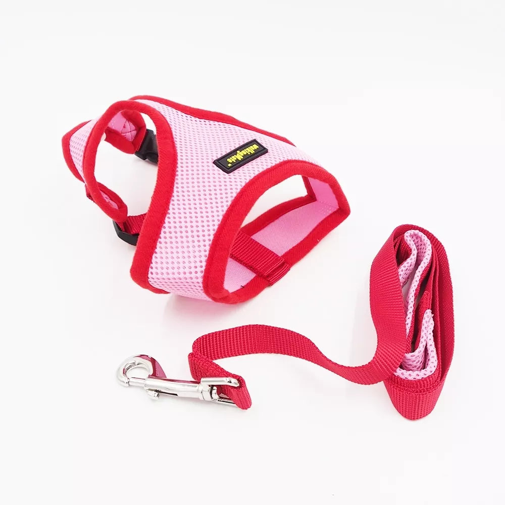 L Petnešos "Animate" +pavadėlis