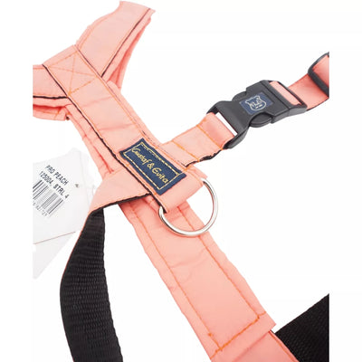 L Petnešos Gustaf & Evita