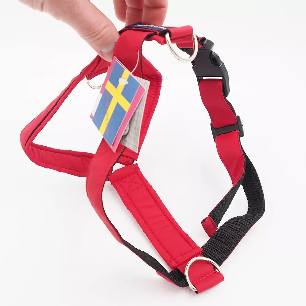 L+ petnešos šunims „Gustaf & Evita“