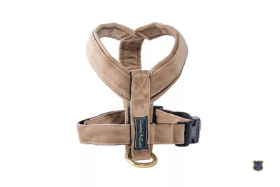 M Gustaf & Evita šunų petnešos