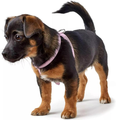 M-L Swarowski petnešos Hunter 99634