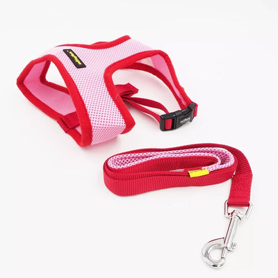 M Petnešos "animate" +pavadėlis