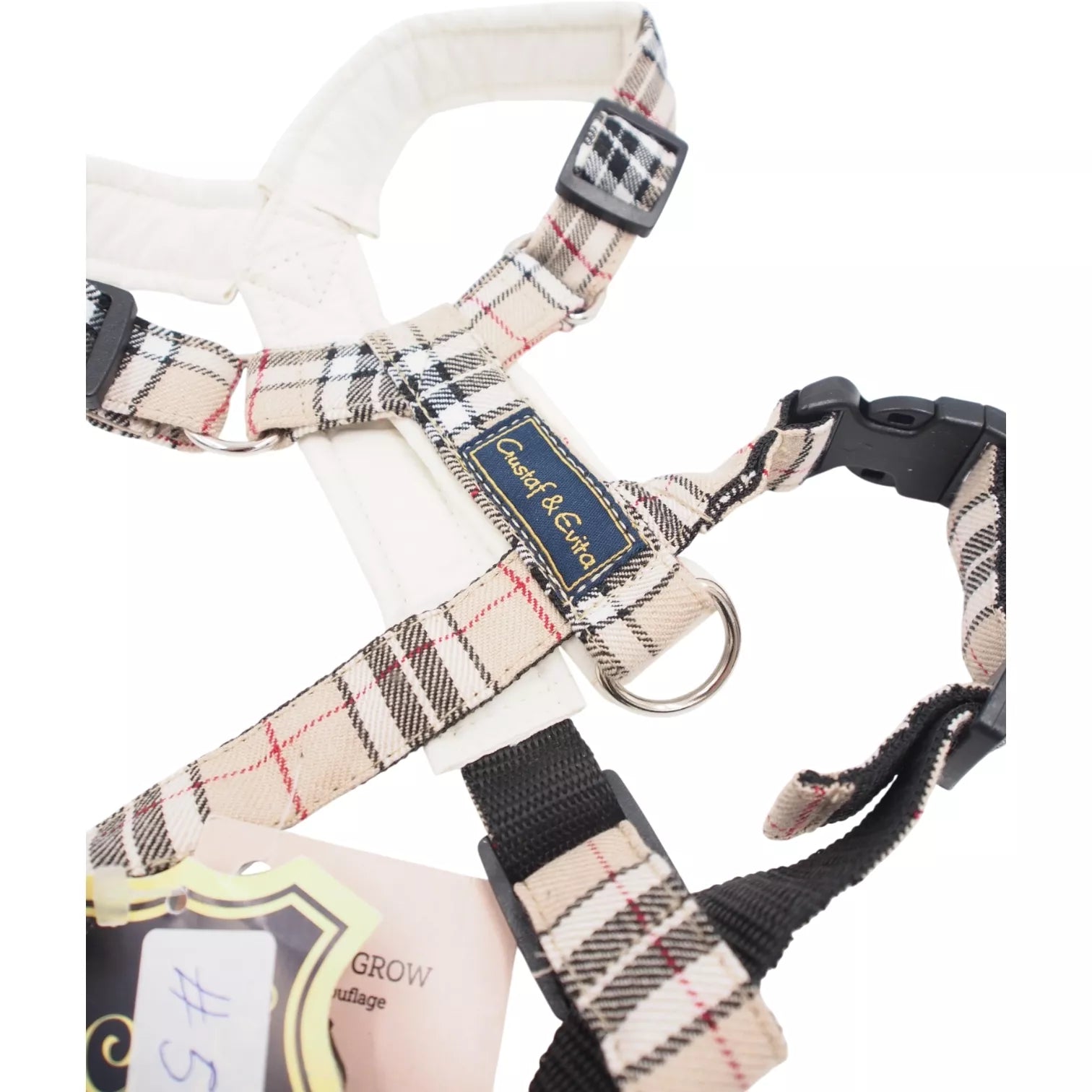 M Petnešos Gustaf & Evita