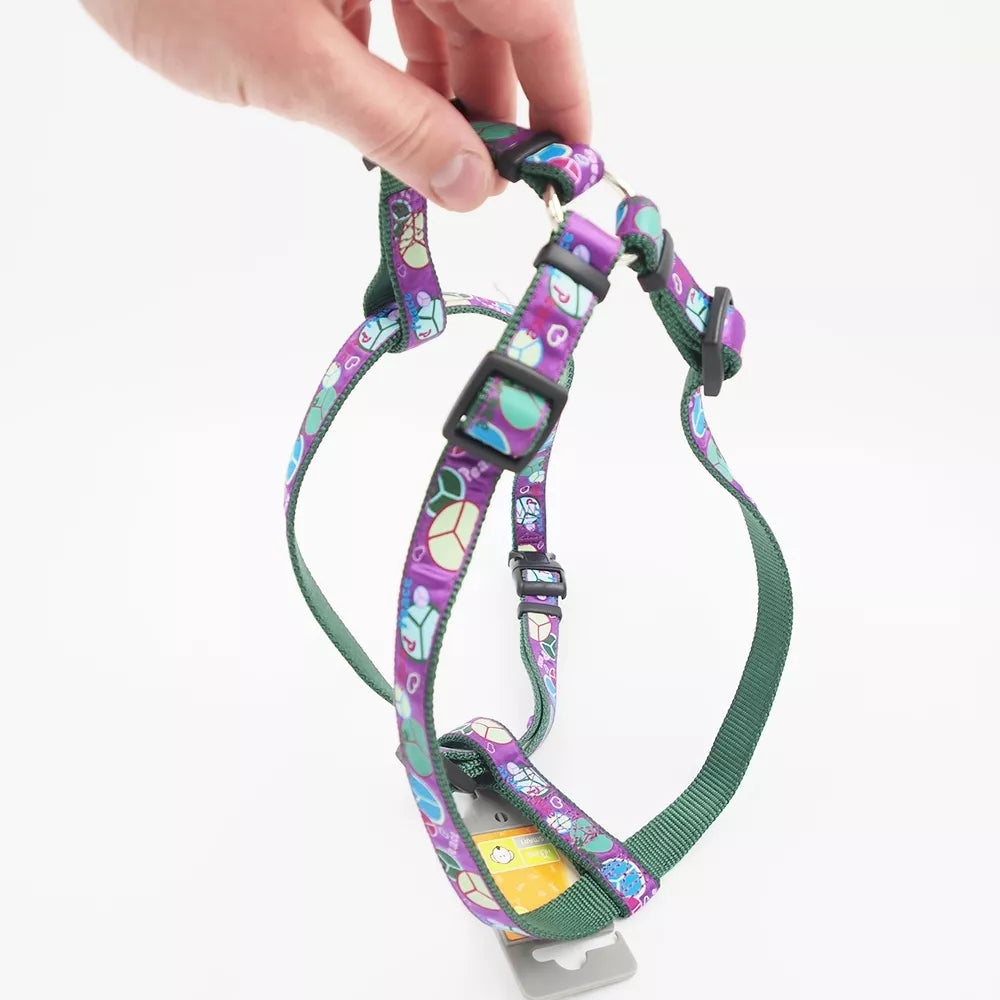 M Petnešos Hunter 91974