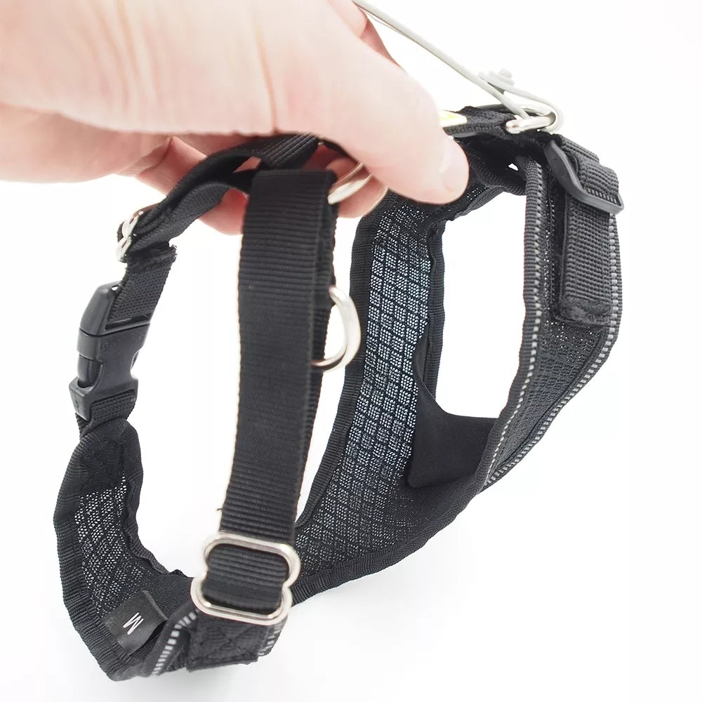 M petnešos šunims Hunter H92720