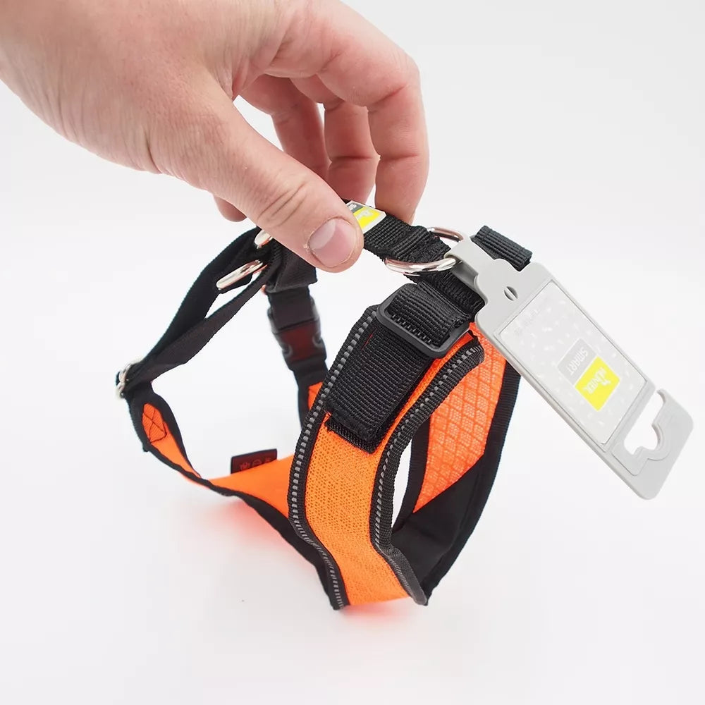 M Petnešos šunims Hunter H92732