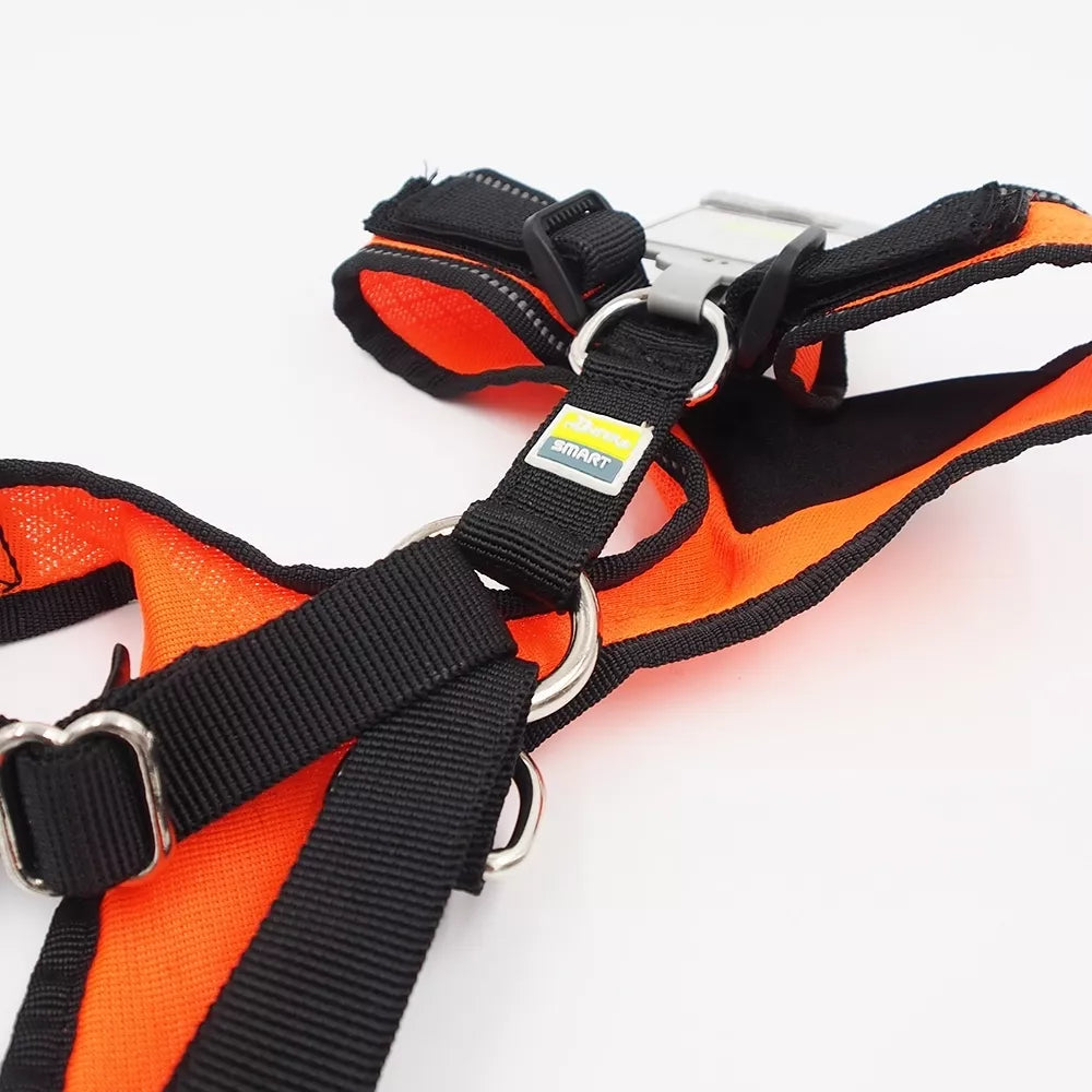 M Petnešos šunims Hunter H92732