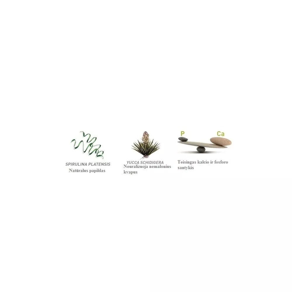 Maistas jauniems dekoratyviniams triušiams Wellness 1 kg