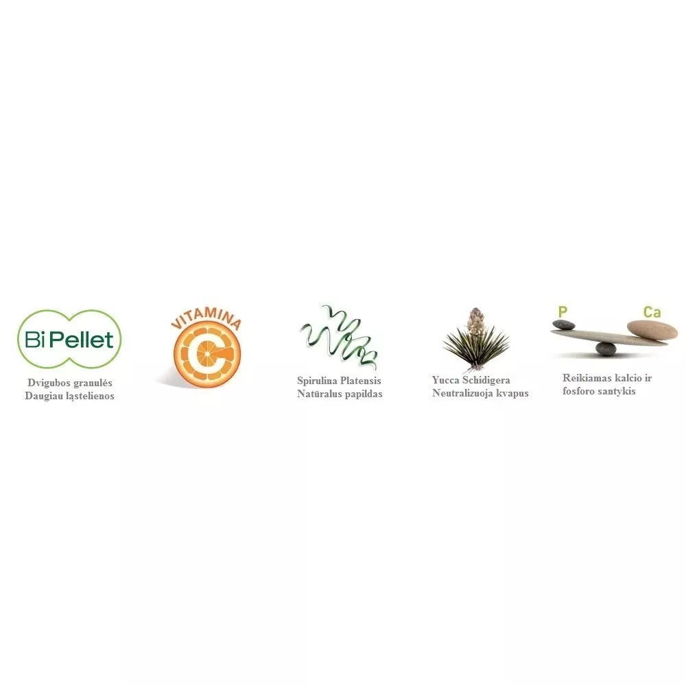 Maistas jūrų kiaulytėms Wellness Guinea Pigs 1 kg