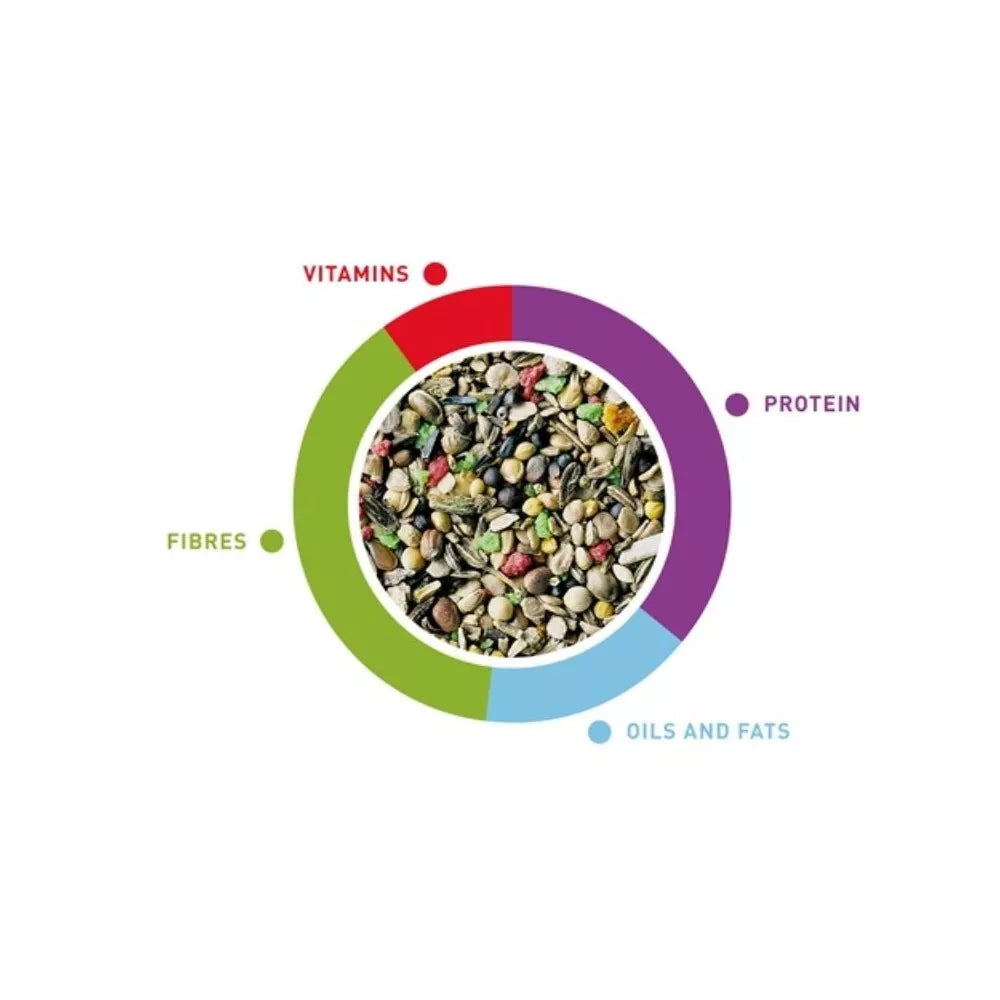 Sėklų mišinys paukščiams Padovan MelodyMix 300 g