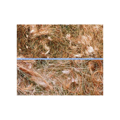 Kokosų pluoštas paukščių lizdams, 50 g