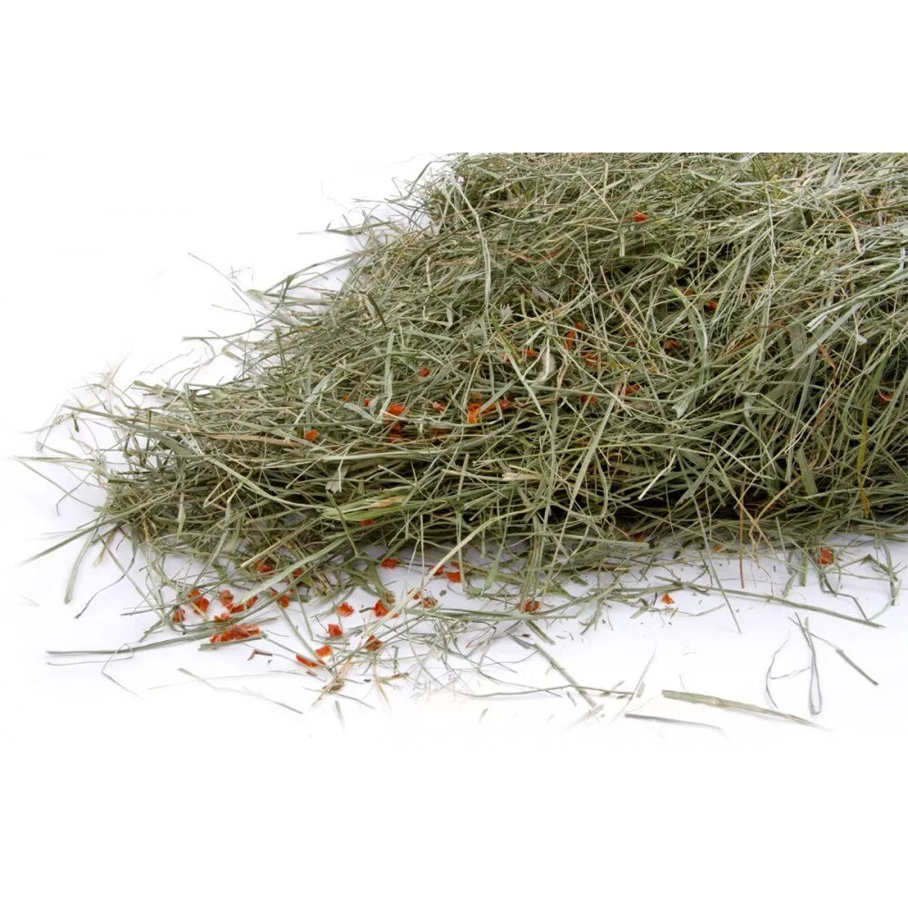 Natūralus šienas graužikams su džiovintomis morkomis 0,5 kg