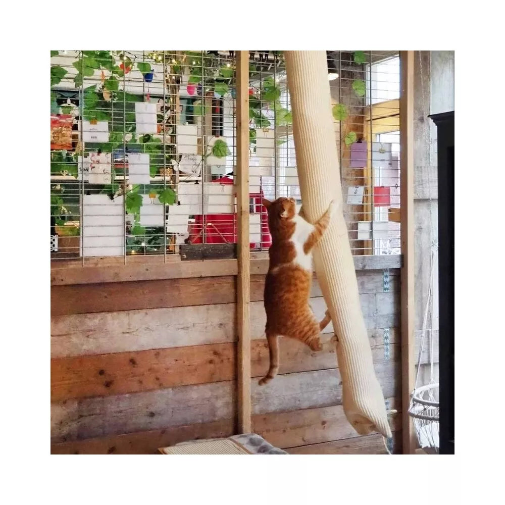 Pakabinama draskyklė, 180 cm