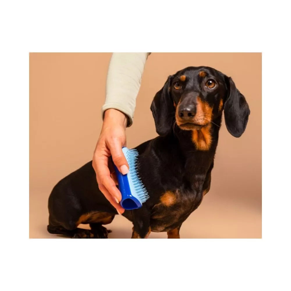 Pet Teezer plaukų šepetys gyvūnams De-Shedding&Dog Grooming Brush Small, žydras