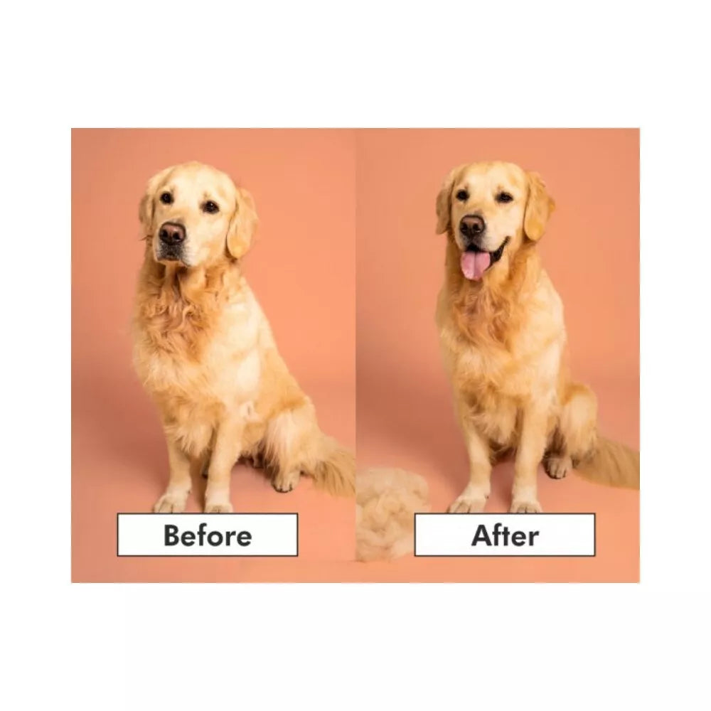 Pet Teezer plaukų šepetys gyvūnams De-Shedding&Dog Grooming Brush Small, žydras