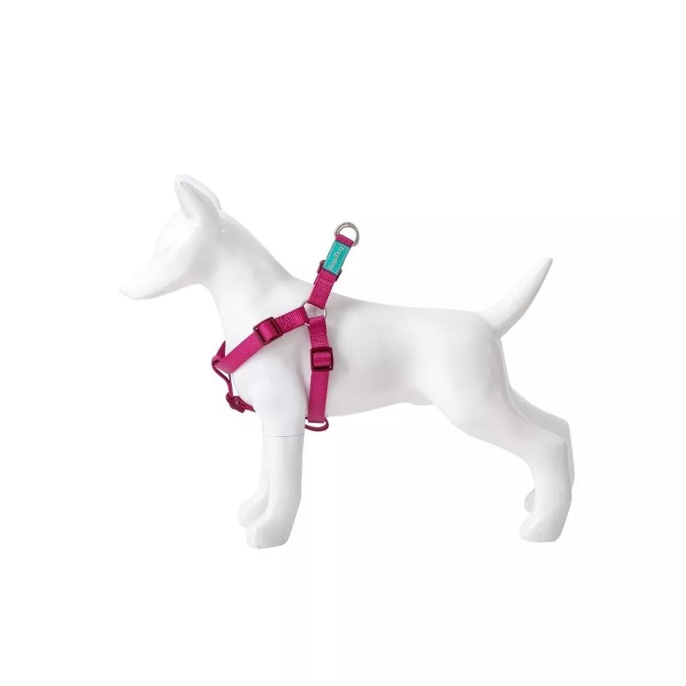 Petnešos Basic Nylon A-Type, vyšninės, 15 mm x 30-50 cm