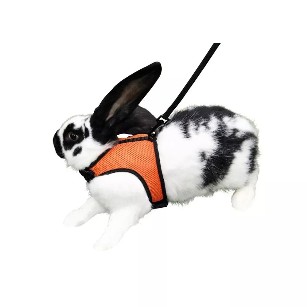 Petnešos graužikams, kaklas 22-26 cm, pilvas 33-34 cm